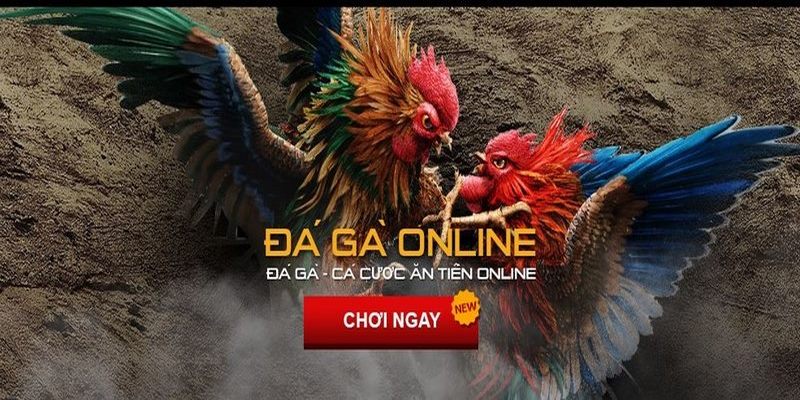 Kèo đá gà trực tuyến Philippines