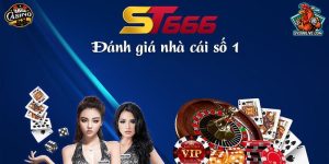 ST666 - Nhà cái đá gà uy tín hàng đầu hiện nay