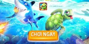 Bắn cá rùa online