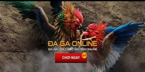 ST666_Game Đá Gà Trực Tuyến Và Chia Sẻ Kinh Nghiệm Chơi